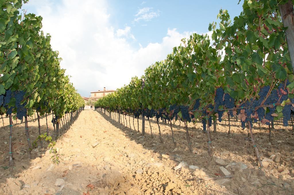 Agriturismo Amina, Winery & Hiking Vagliagli Εξωτερικό φωτογραφία