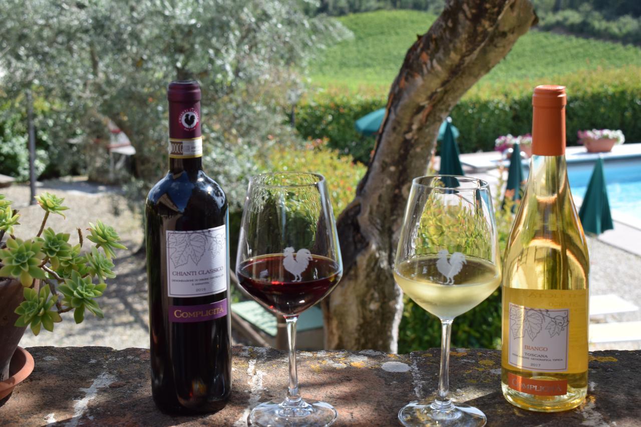 Agriturismo Amina, Winery & Hiking Vagliagli Εξωτερικό φωτογραφία
