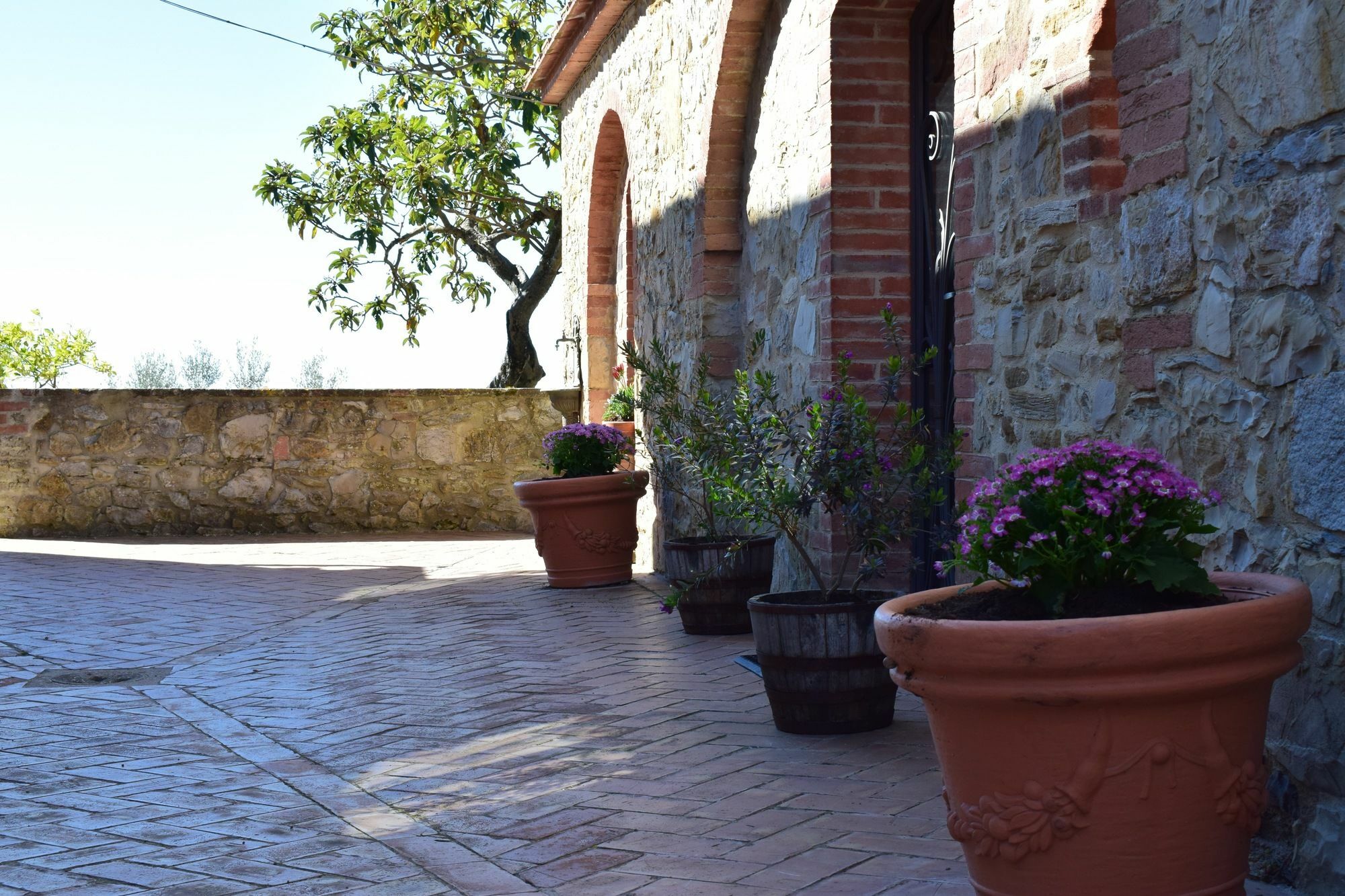Agriturismo Amina, Winery & Hiking Vagliagli Εξωτερικό φωτογραφία